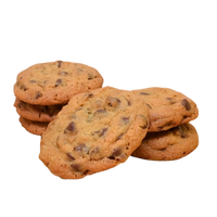 Double Chocolate Chip