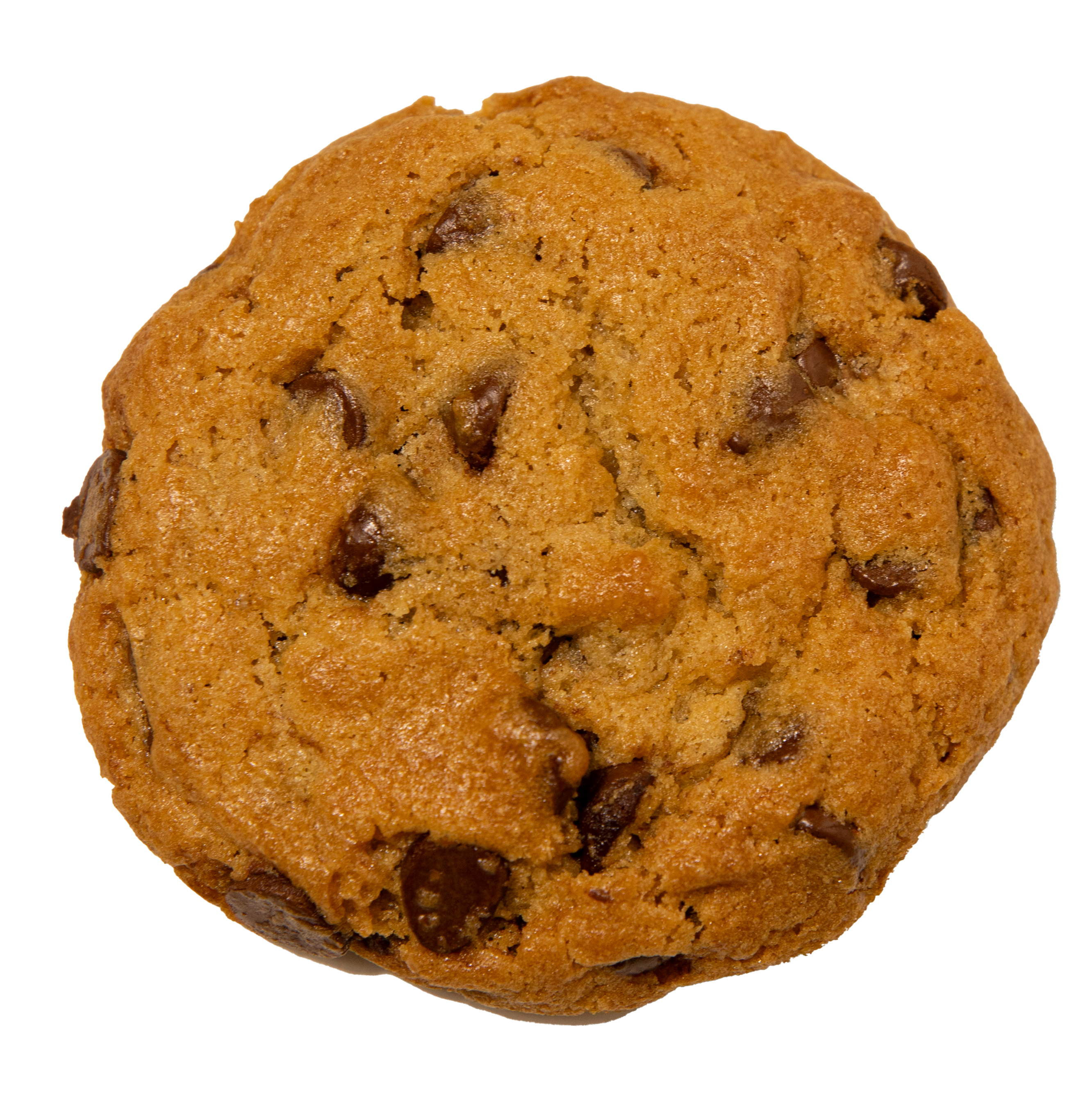 Double Chocolate Chip