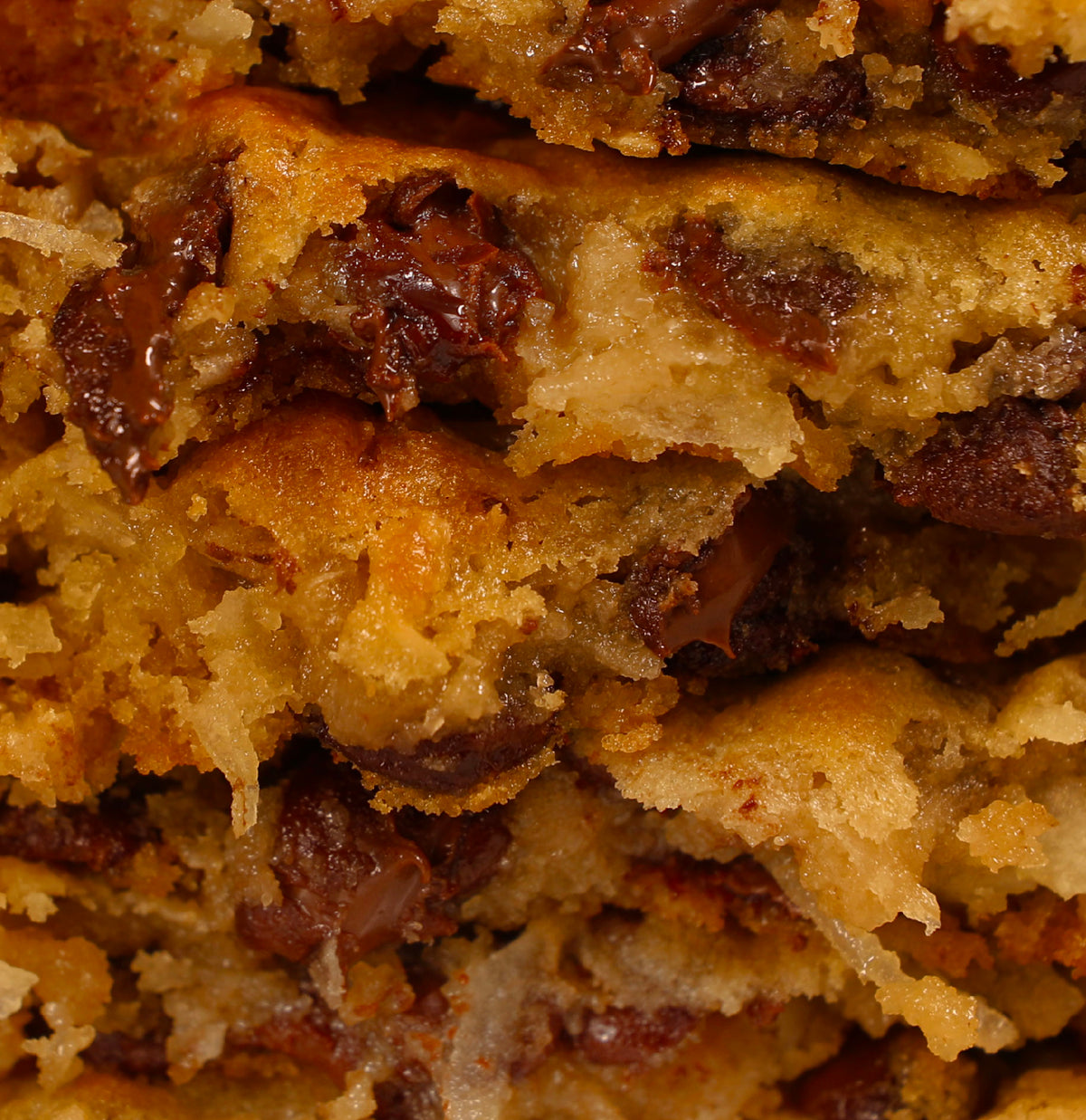 Chocolate Chip Coconut Cookie