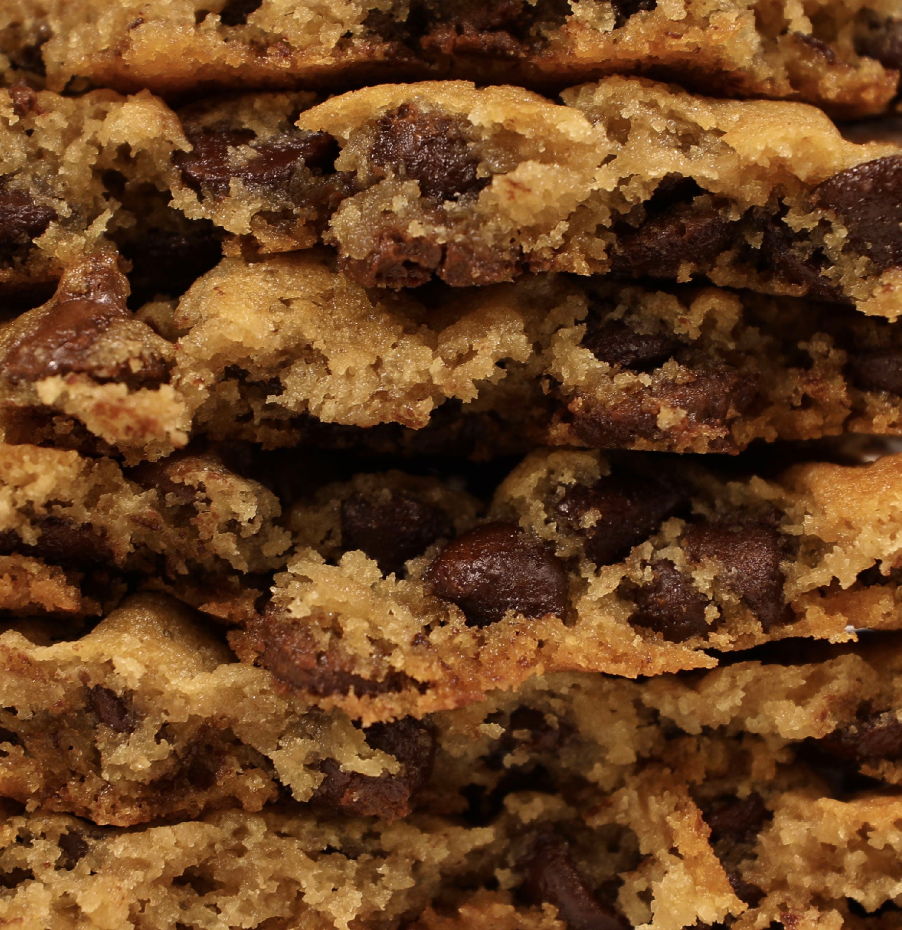 Double Chocolate Chip