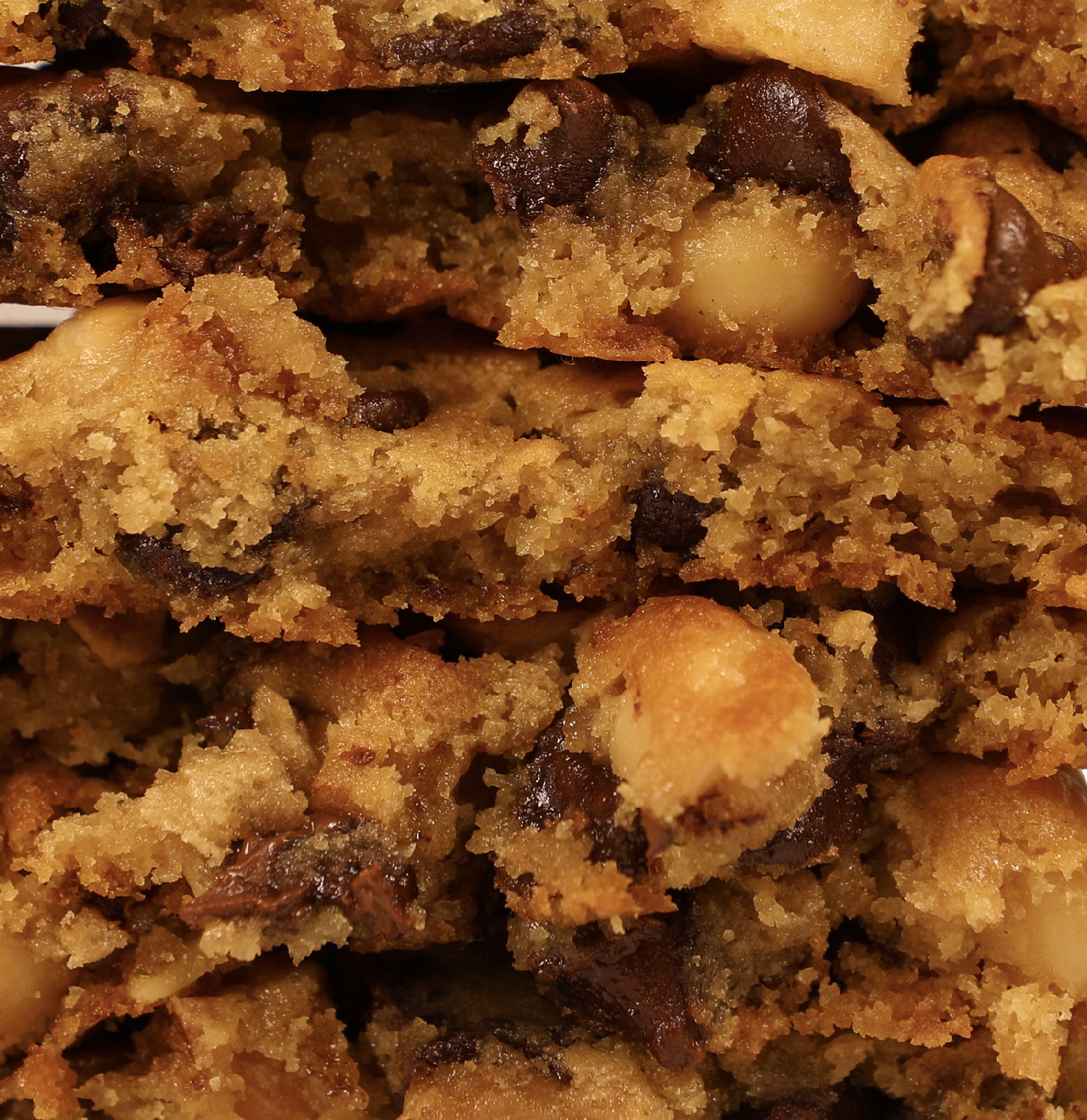 Chocolate Chip Macadamia Nut