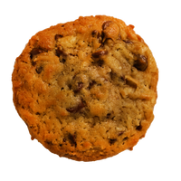 Chocolate Chip Coconut Cookie