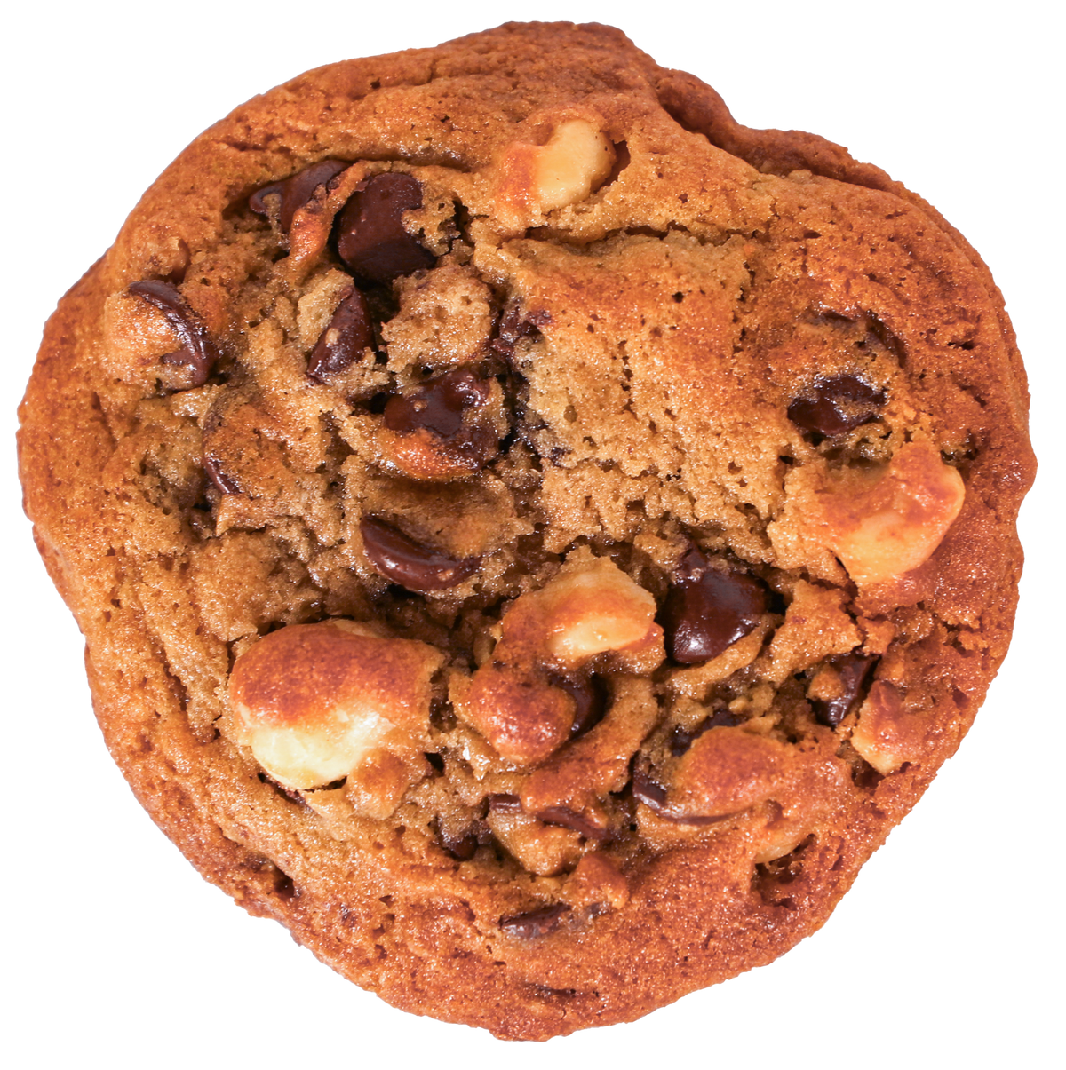 Lappert's Hawaii - Chocolate Chip Cookies with Macadamia Nuts