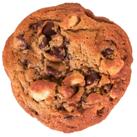 Chocolate Chip Macadamia Nut