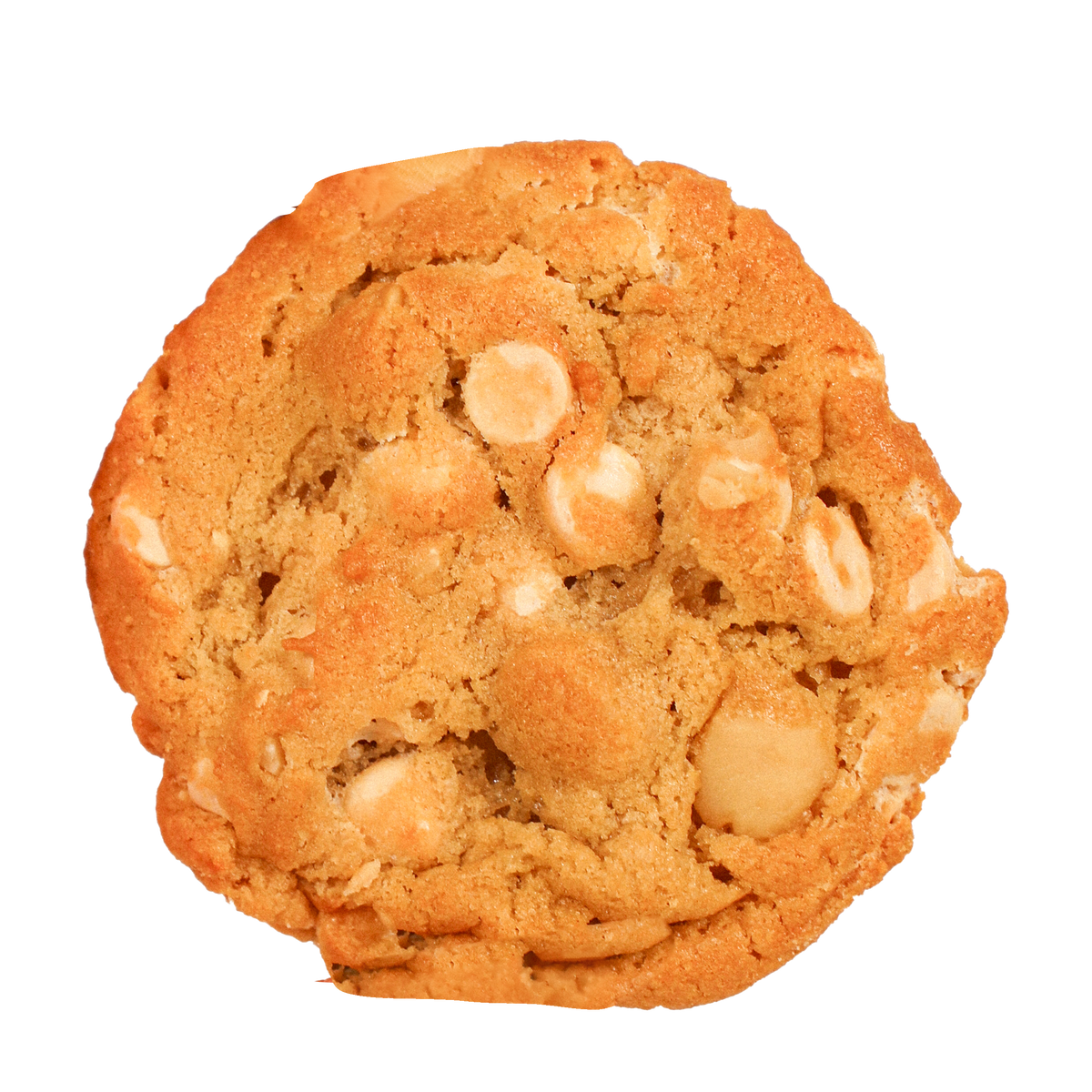 White Chocolate Macadamia Nut