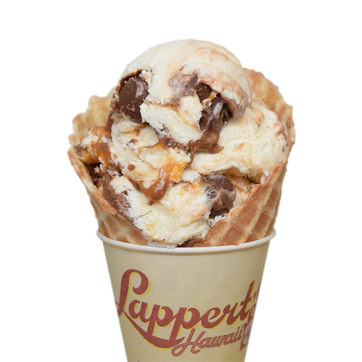 Lappert's Hawaii Hand Packed Ice Cream 6 Pints Choose Your Own